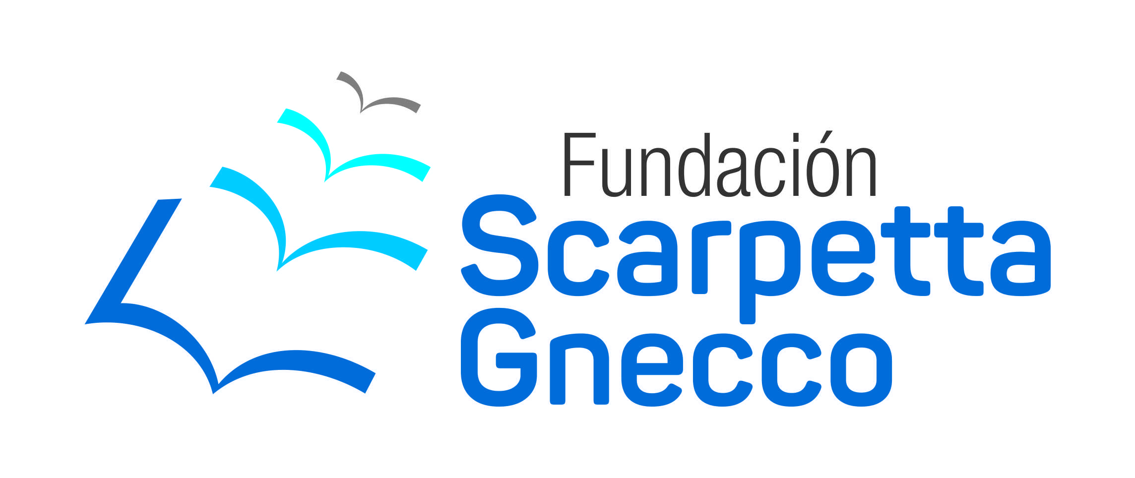 En este momento estás viendo Fundación Scarpetta Gnecco