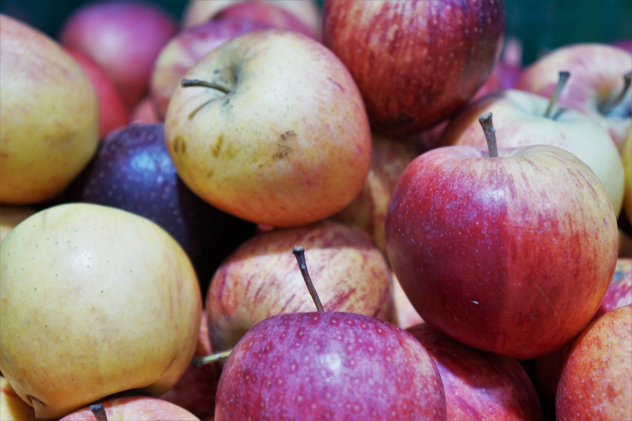 ¿Cómo cuidar frutas y verduras?