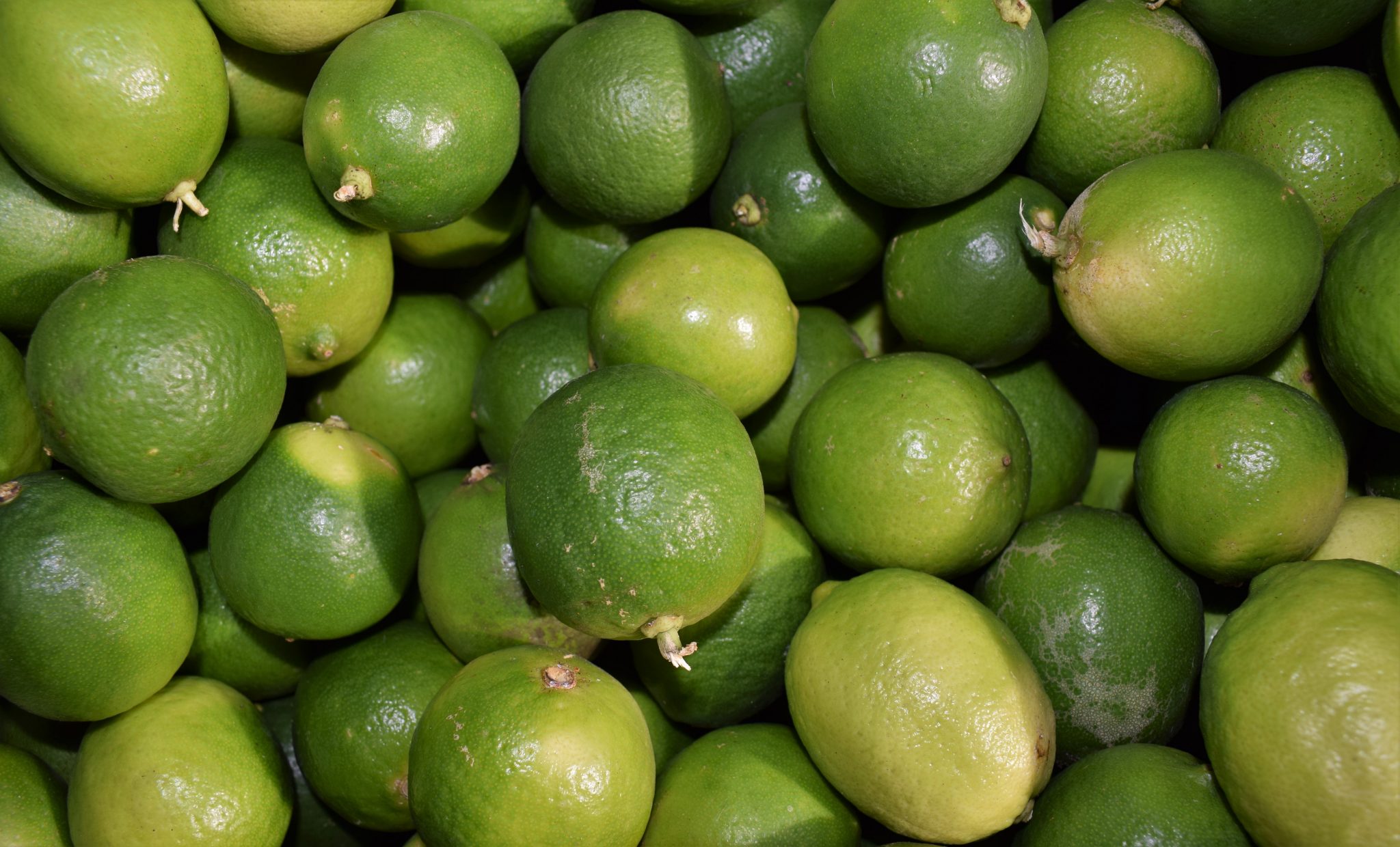 ¿Cómo cuidar frutas y verduras?