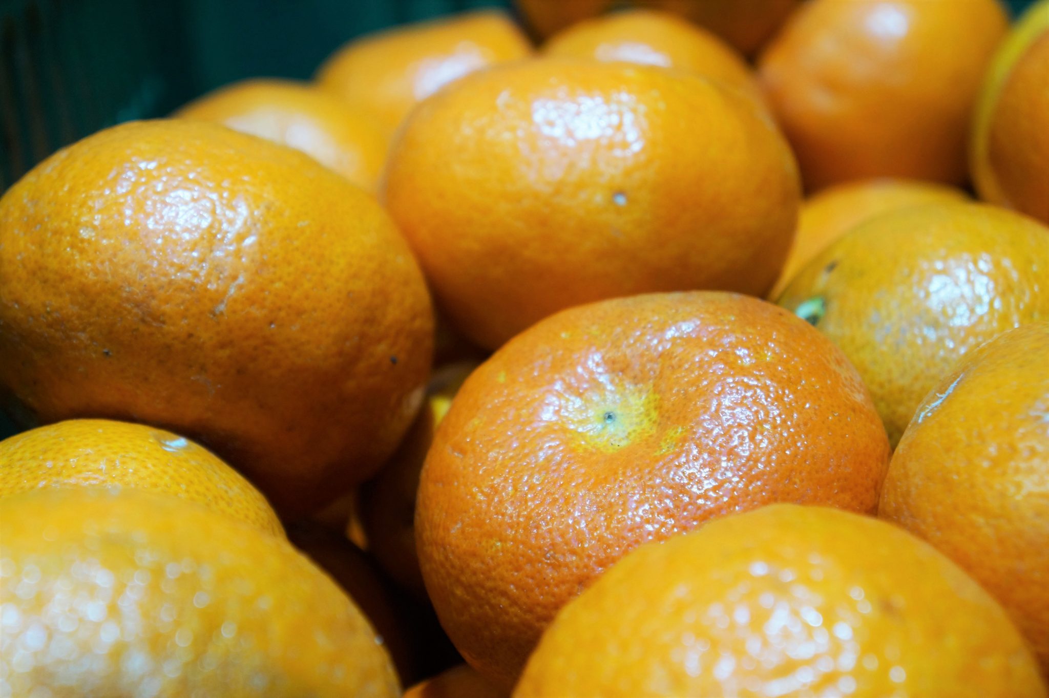 ¿Cómo cuidar frutas y verduras?