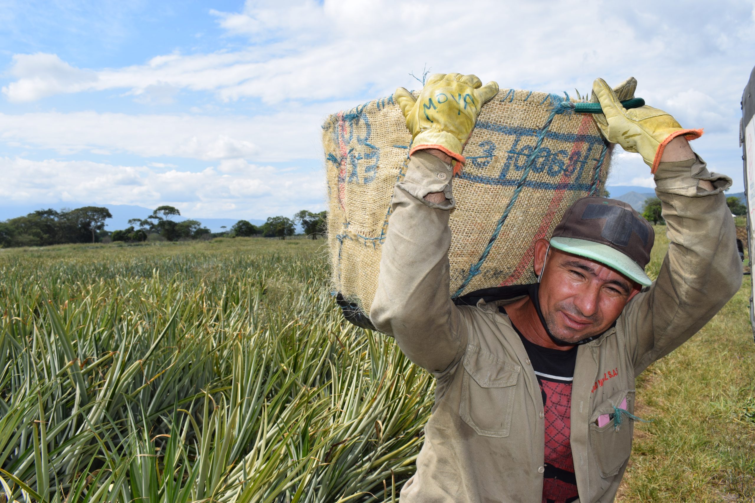 REAGRO perdida y desperdicios de alimentos