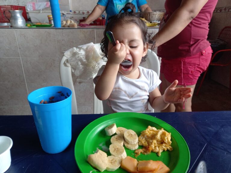 DesayunosSaludables FUNSECUM (1)