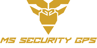 MS SEGURITY LOGO