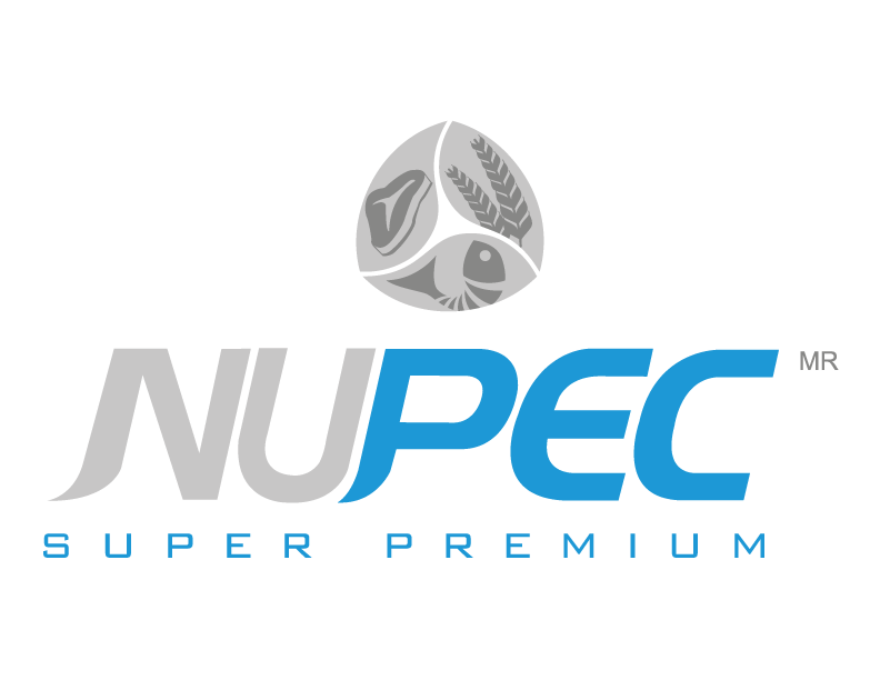 NUPEC LOGO